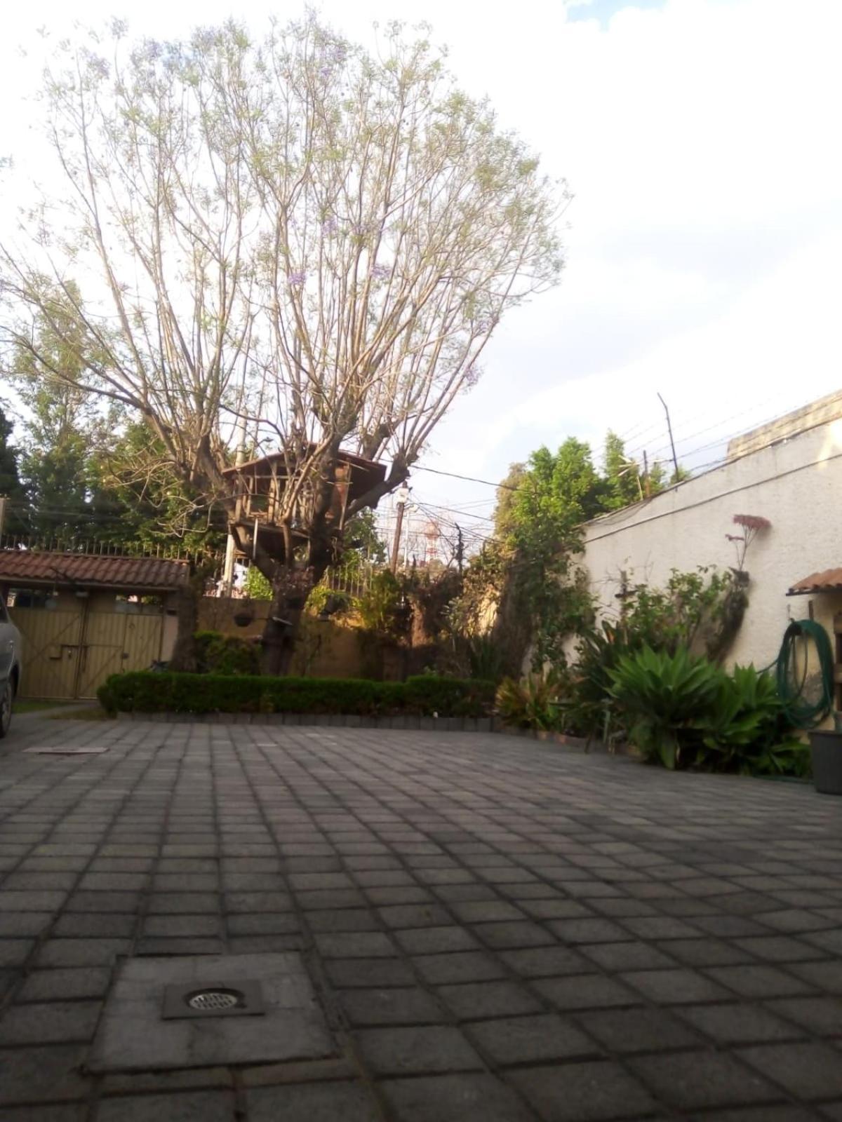 Casita Del Arbol Lägenhet Mexico City Exteriör bild
