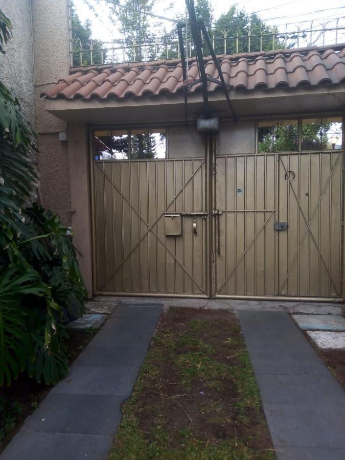 Casita Del Arbol Lägenhet Mexico City Exteriör bild