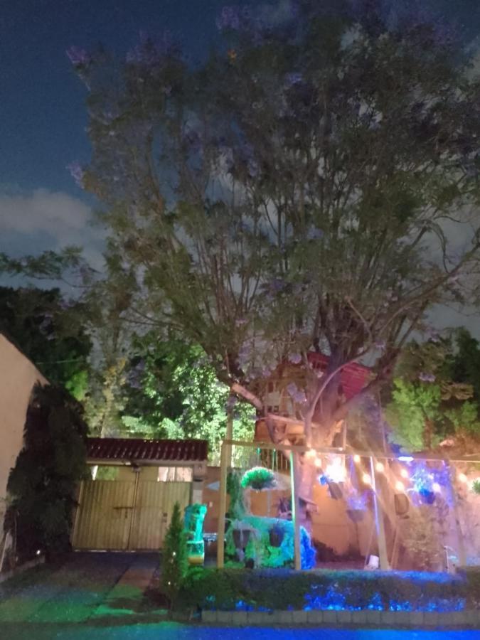 Casita Del Arbol Lägenhet Mexico City Exteriör bild