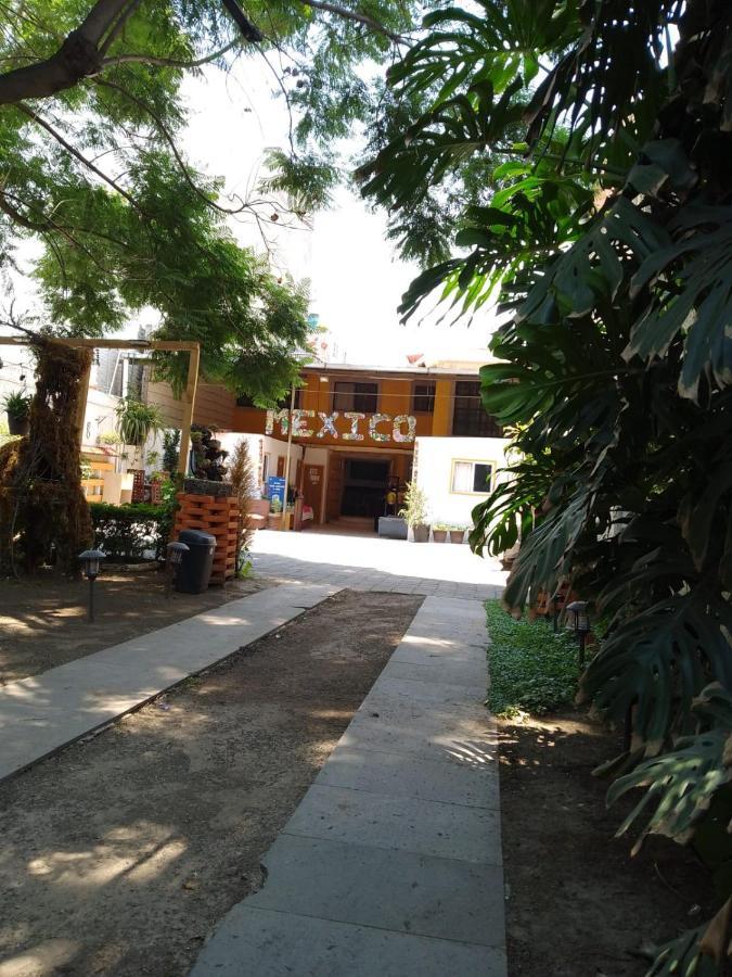 Casita Del Arbol Lägenhet Mexico City Exteriör bild