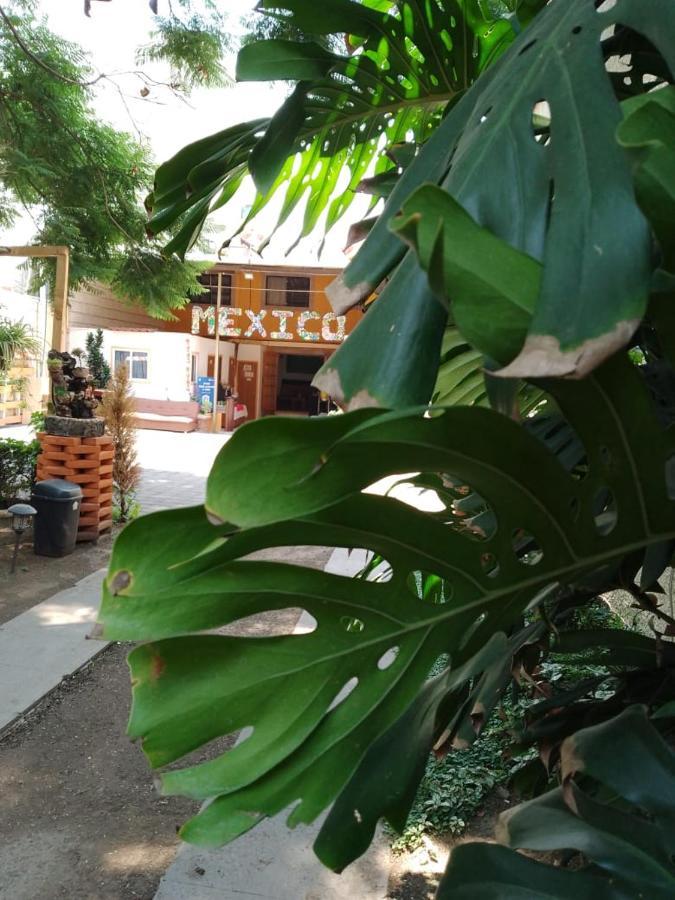 Casita Del Arbol Lägenhet Mexico City Exteriör bild