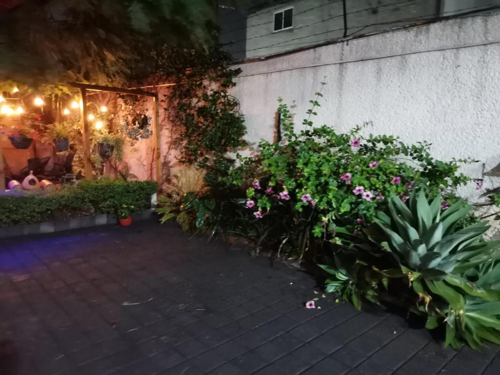 Casita Del Arbol Lägenhet Mexico City Exteriör bild